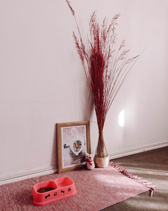 How to Set Up a Cozy and Safe Pet-Friendly Home Corner